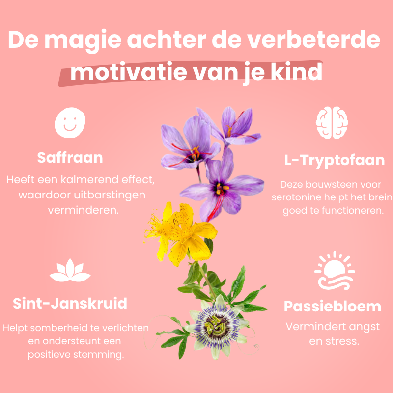 Radiant Mood Magic