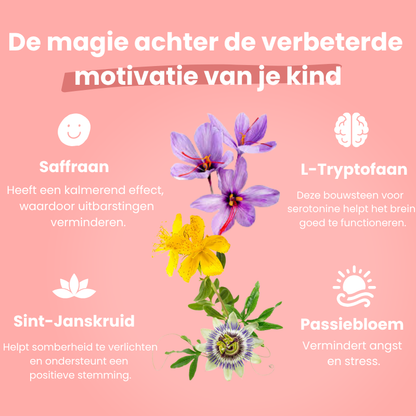 Radiant Mood Magic